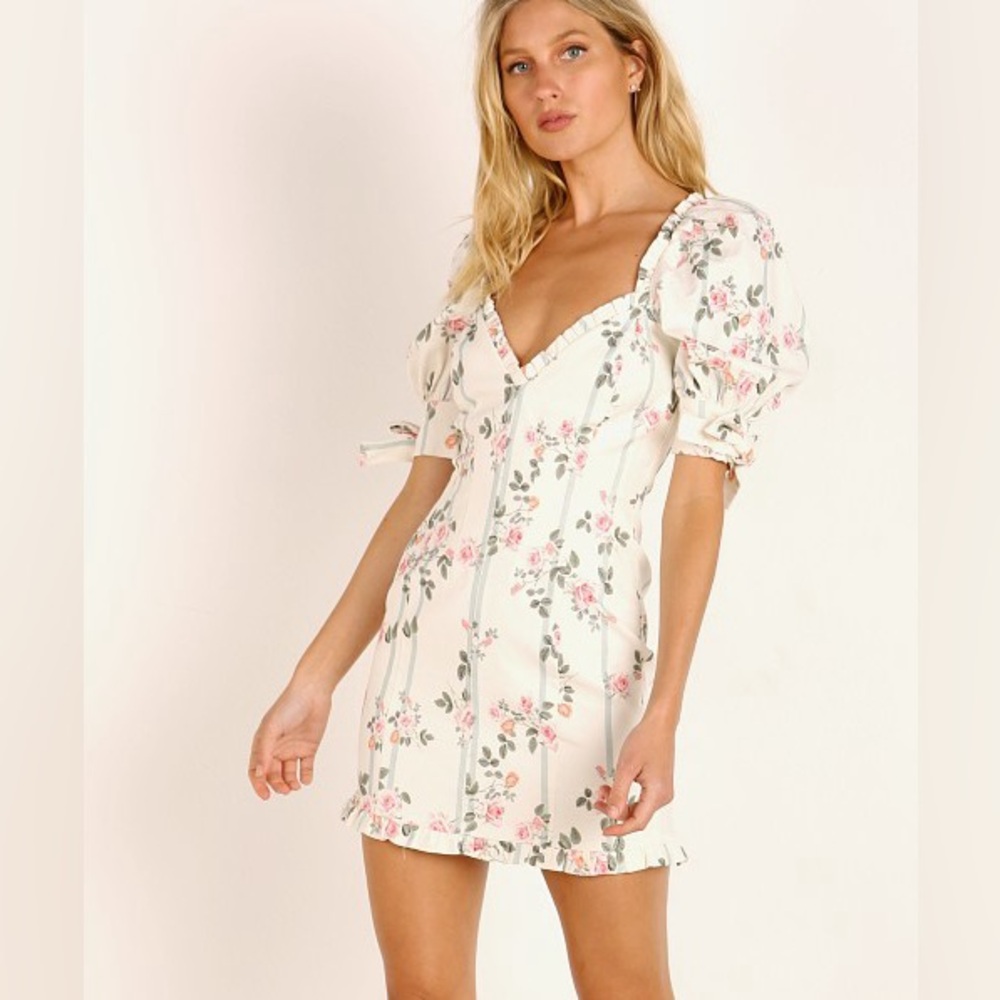 NWT For Love & Lemons Rose Stripe Mini Dress Floral Size XS - Picture 2 of 3